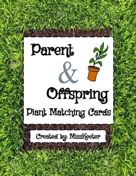 Preview of Parent & Offspring Plant Card Matching Sort