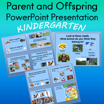 Preview of Parent and Offspring PowerPoint Presentation