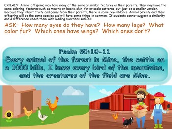 Preview of Parents & Babies on the Farm .PDF book and activities (Bible based)