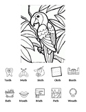 Parrot Coloring /th/ Final Position Worksheet