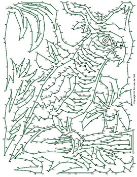 Parrot Extreme Dot-to-Dot / Connect the Dot PDF by Tim's Printables