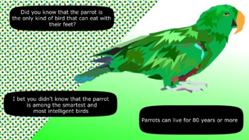 Preview of Parrot Facts, Free