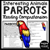 Parrots Informational Text Reading Comprehension Worksheet