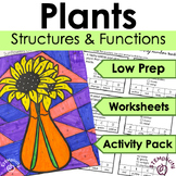 Part of a Plant Worksheet, Flower Diagram, Color-by-Number