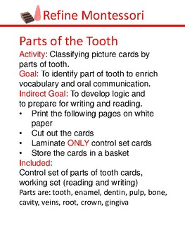 Preview of Part of tooth