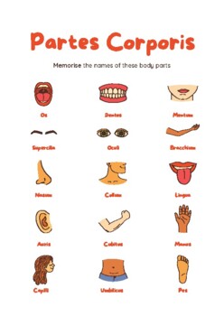 Preview of Partes Corporis - triple Latin worksheet on body parts