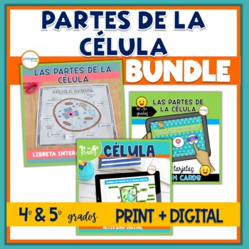 Preview of Partes de la Célula Bundle