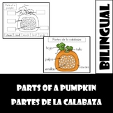 Partes de la calabaza/ parts of a pumpkin