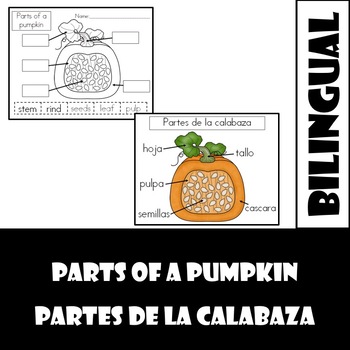 Preview of Partes de la calabaza/ parts of a pumpkin