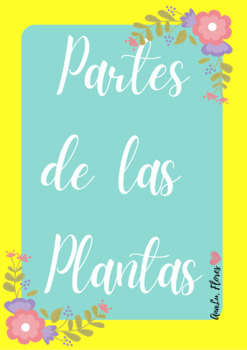 Preview of Partes de las plantas