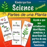 Partes de una Planta para PK, Kinder y Primer Grado