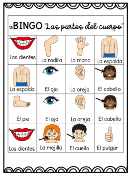 2 worksheets vocabulary spanish of  body  Partes Parts  in Spanish TpT Cuerpo del  the Bingo