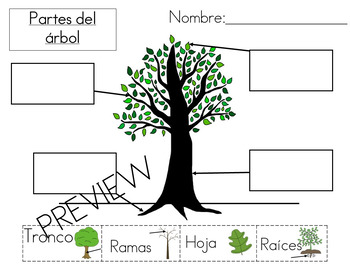 Partes del arbol by Raising Bilinguals | TPT
