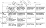 Participation Rubric - 20 points