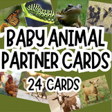 Partner Pairing Cards - Baby Animal Theme - 24 Nature-Base
