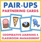 Partner Pairing Cards Things That Go Together 120 Pairs fo