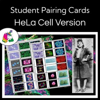 Preview of Partner Pairing - Women in STEAM- HeLa Cells