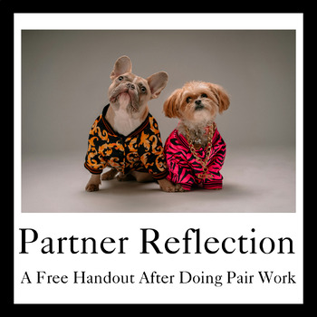 Preview of Partner Reflection