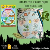 Parts And Cycle Of A Plant Art Project - Science Lesson - 