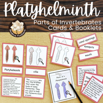 Preview of Parts Flatworm Platyhelminth - Invertebrates Zoology Montessori Parts of Animals