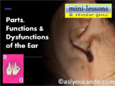 Parts, Functions & Dysfunctions of the Ear