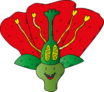 https://ecdn.teacherspayteachers.com/thumbitem/Parts-Of-A-Flower-Cute-Clip-Art-3677474-1656584077/original-3677474-2.jpg