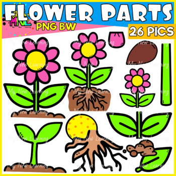 Preview of Parts Of A Flower Set 2 Clipart 26 images