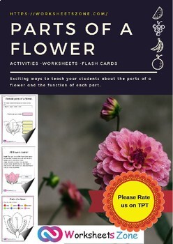 Preview of Parts Of A Flower worksheet Activity, Interactive Notebook plants unit 210 pages