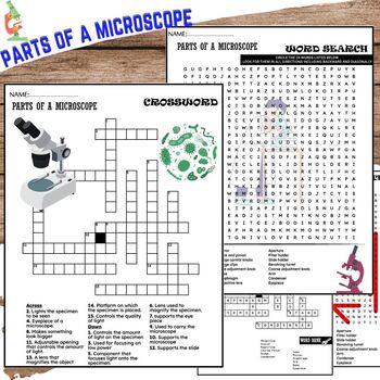 Preview of Parts Of A Microscope Worksheets - Word Search and Crossword