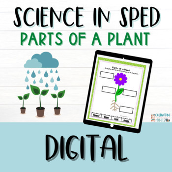 Preview of Parts Of A Plant | Parts of a Flower | Adapted Science Units | ESY 
