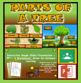 Preview of Parts Of A Tree: Interactive Google Slides + PPT+ 3 Worksheets