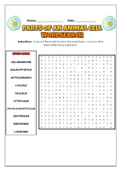 Preview of Parts Of An Animal Cell: 2 Science Puzzles: Wordsearch & Word Scramble