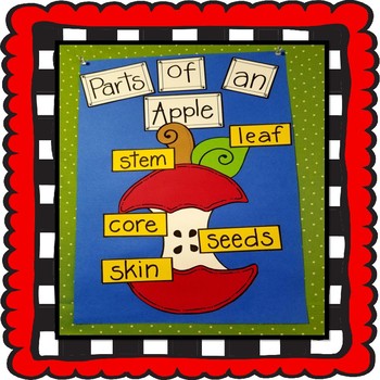 Preview of Parts Of An Apple Craft, Back to School Craft, Fall Craft