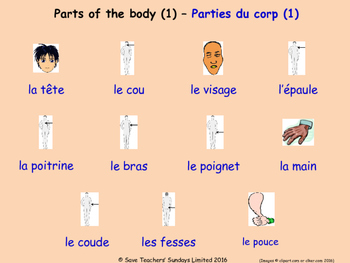 Preview of Parts Of The Body in French Posters / Slides