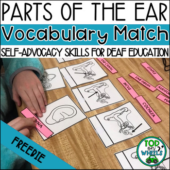Preview of Parts Of The Ear: Vocabulary