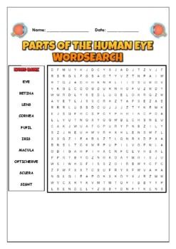 Preview of Parts Of The Human Eye: 2 Science Puzzles: Wordsearch & Word Scramble