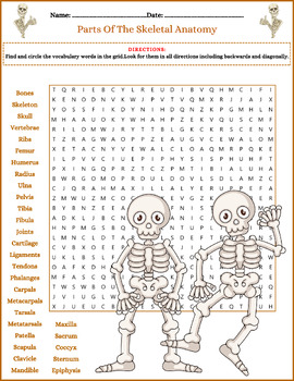 Preview of Parts Of The Skeletal Anatomy ⭐ Word Search Puzzle Activity Vocabulary ⭐ No Prep