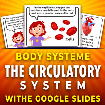Preview of Parts and Functions of The Circulatory System, Human Body Systems, Google Slides