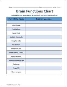 Parts Of Brain Functions Chart