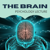 Parts and Functions of the Brain - Psychology Lecture