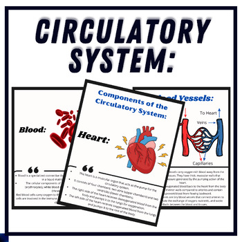 Preview of Parts and Functions of the Circulatory System - Reading, Printable