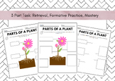 Parts of A Plant: 3 Task Learning Experience