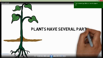 Preview of Parts of A Plant Review Video