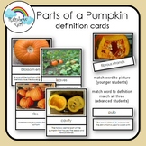Parts of A Pumpkin