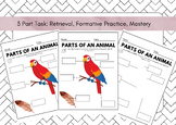 Parts of An Animal: 3 Task Learning Experience