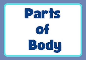 Preview of Parts of Body - Blue theme