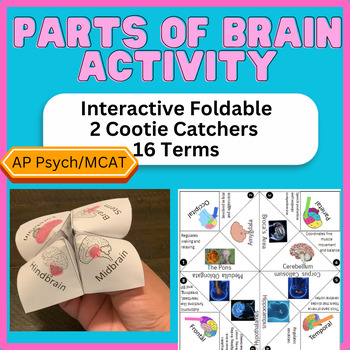 Preview of Parts of Brain Activity (Cootie Catcher Foldable: AP Psychology, MCAT, Pre-Med)