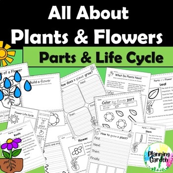 Preview of Parts of Flower | Flower Life Cycle: All About Flowers {plants, flowers, spring}