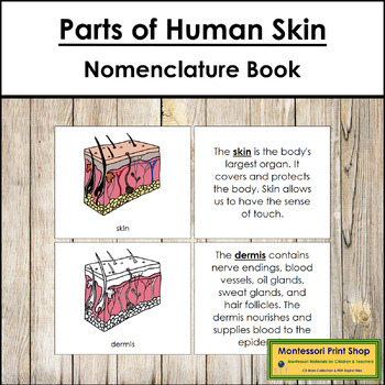 Preview of Parts of Human Skin Book - Montessori Nomenclature