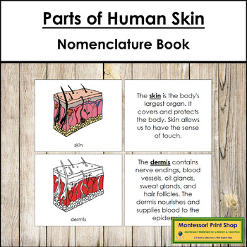 Preview of Parts of Human Skin Book (red highlights) - Montessori Nomenclature